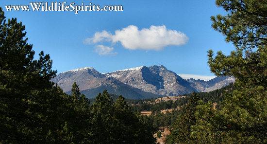 Click Picture to send as an  E-PostCard 57k 550x296